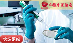 西宁同一父系亲缘鉴定