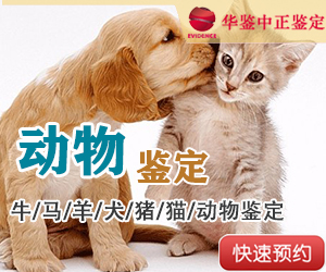 西宁动物鉴定